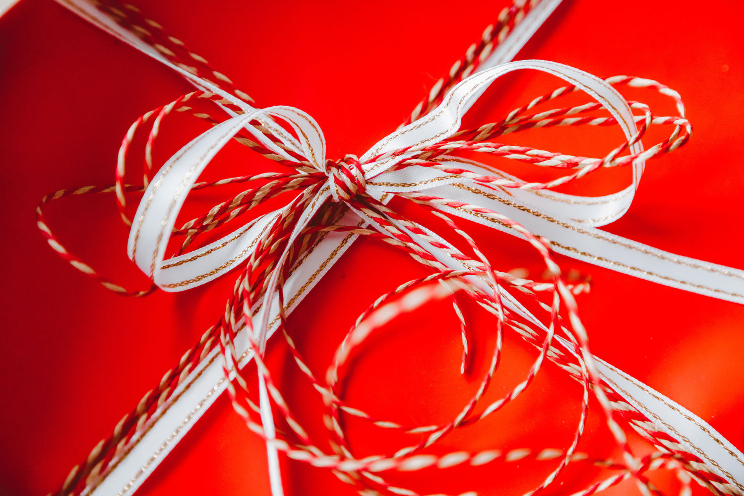 Holiday Gift Guide